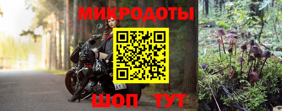 Псилоцибиновые грибы Psilocybe  Вход с VPN  Ефремов 